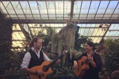kew-gardens